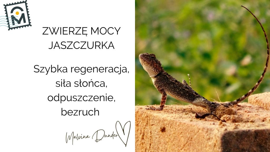Zwierzę Mocy Jaszczurka znaczenie – regeneracja, cisza i moc&nbsp;słońca