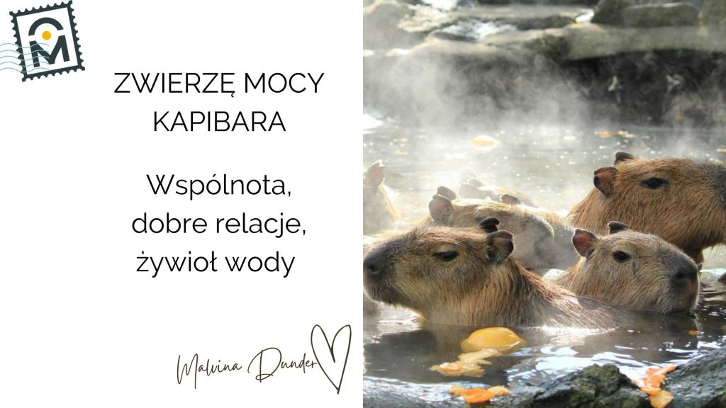 Zwierzę Mocy Kapibara znaczenie – wspólnota, przyjaźń i uzdrawiająca&nbsp;obecność