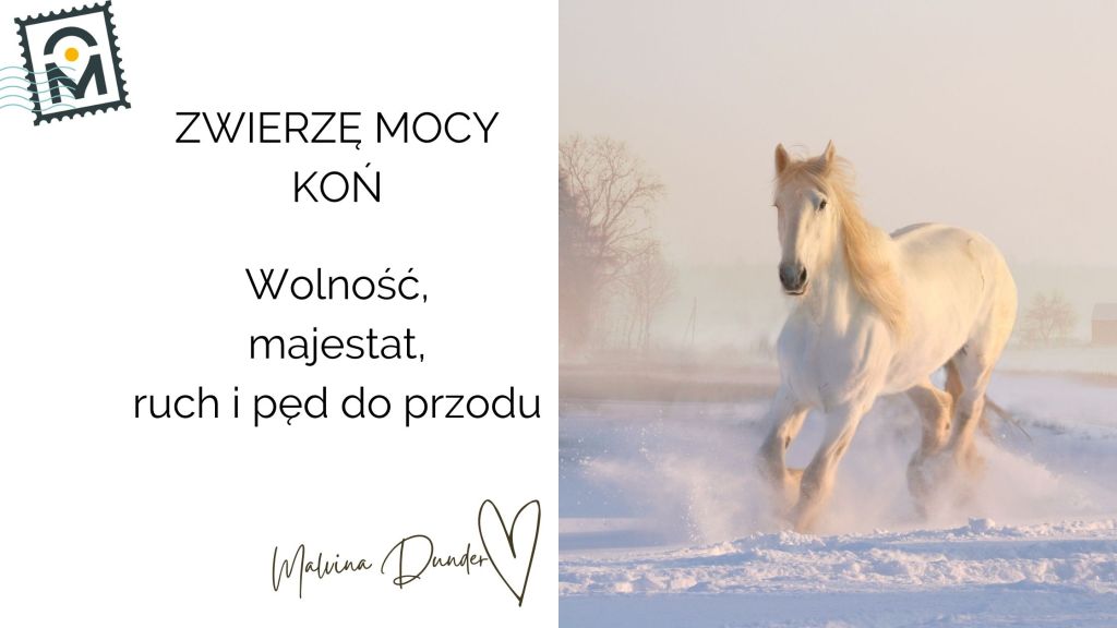 Zwierzę Mocy Koń – duchowa moc, szlachetność i podróż ku&nbsp;niezależności