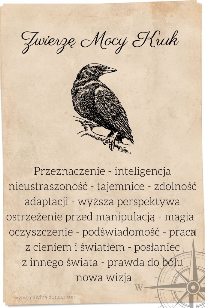 kruk czarny i biały Zwierzę Mocy, Malvina Dunder