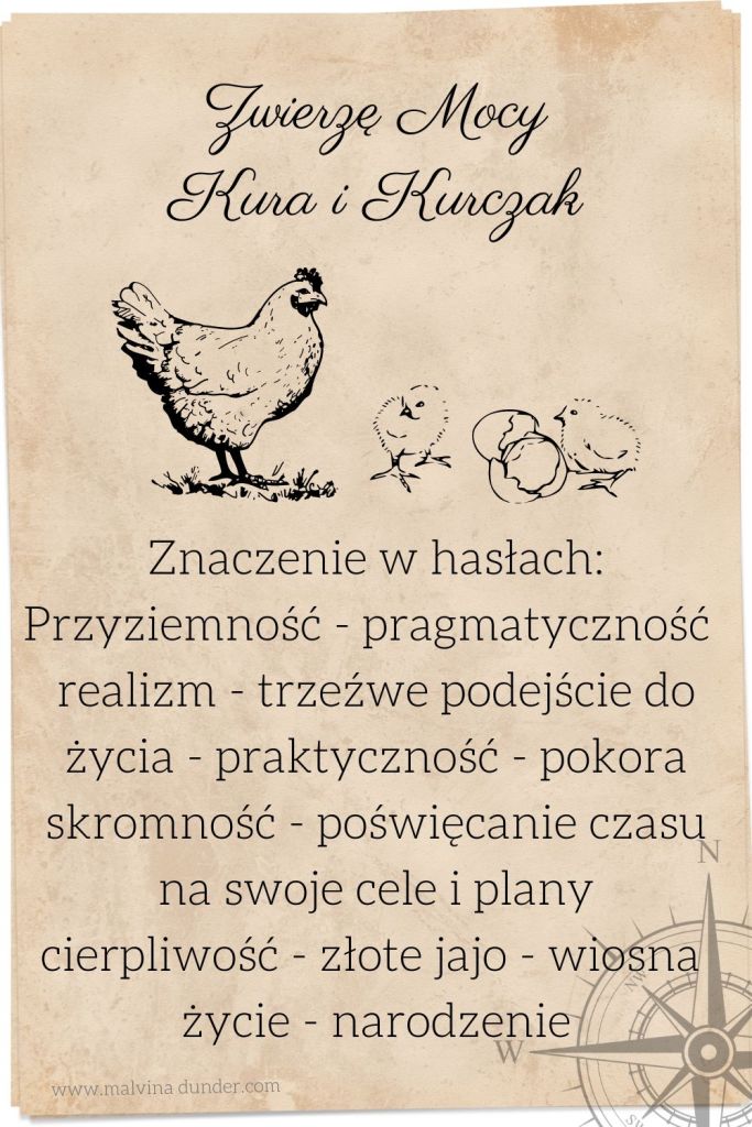 kura i kurczak Jaskółka Zwierzę Mocy, znaczenie symbolika przesłanie, Malvina Dunder