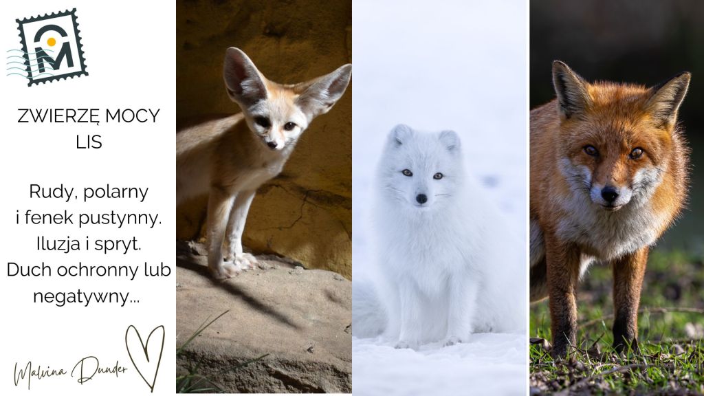 Zwierzę Mocy Lis – duchowy przewodnik iluzji i prawdy, spryt i ochrona w&nbsp;cieniu