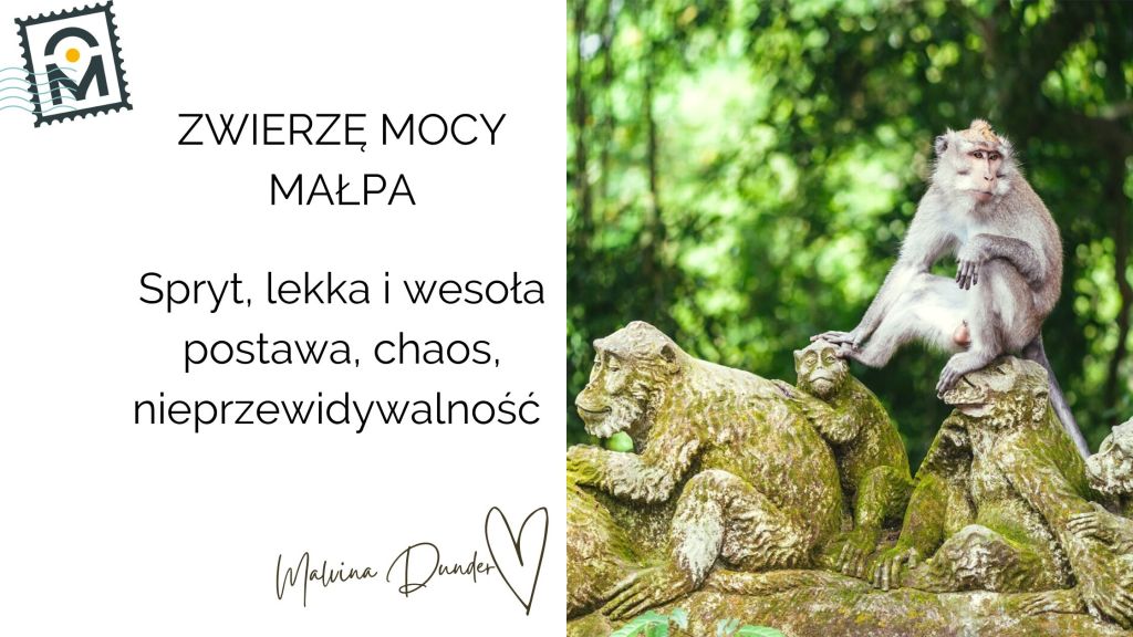 Zwierzę Mocy Małpa znaczenie – spryt, żartobliwość i przebudzenie przez&nbsp;śmiech