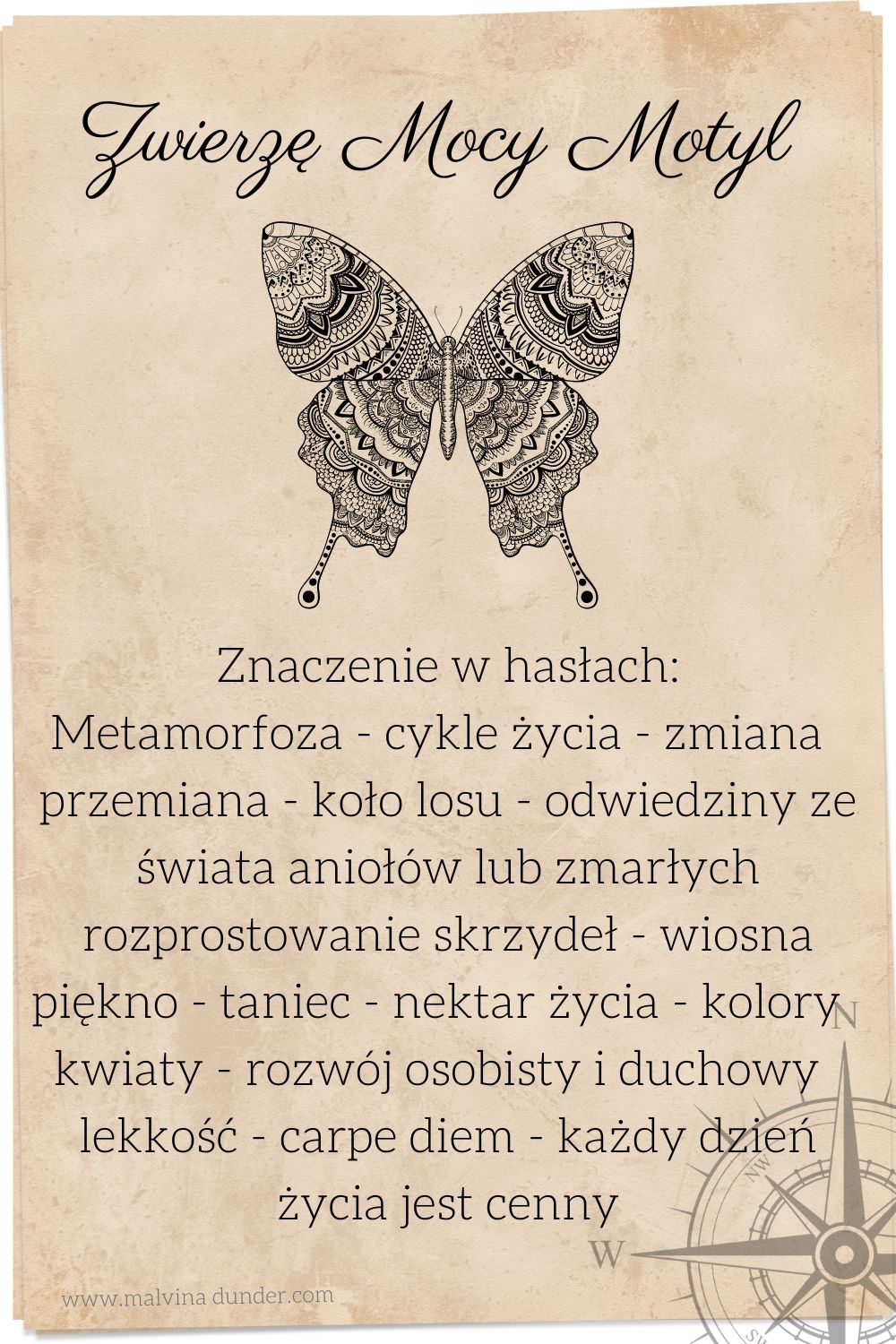 Zwierzę Mocy Motyl znaczenie – metamorfoza, cykle życia, rozwój