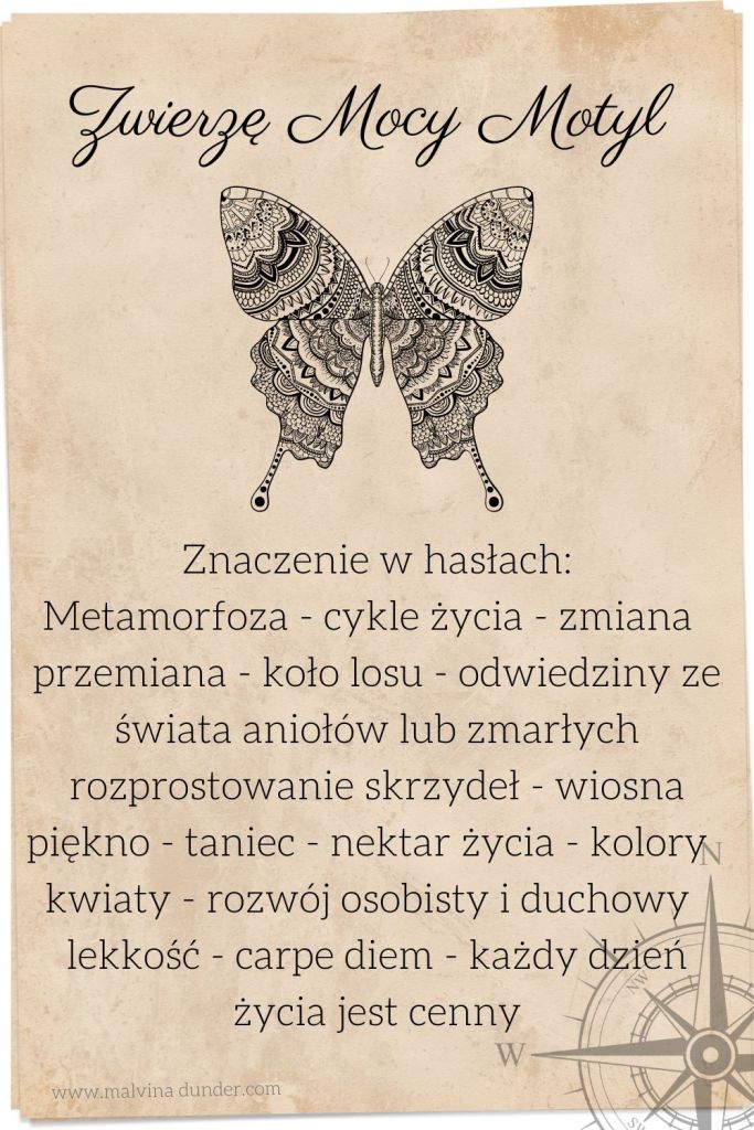 motyl Jaskółka Zwierzę Mocy, znaczenie symbolika przesłanie, Malvina Dunder