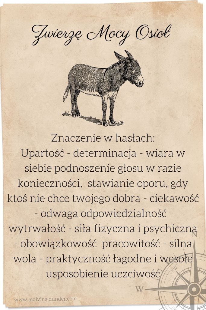 osioł Zwierzę Mocy, znaczenie symbolika przesłanie, Malvina Dunder