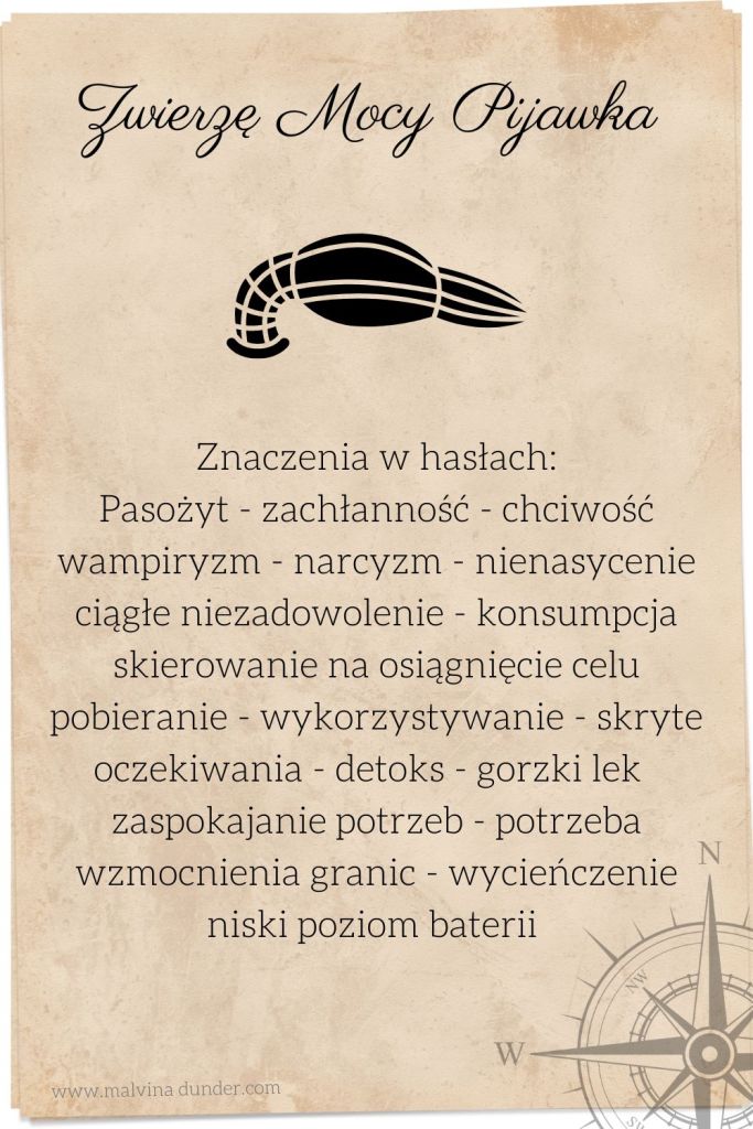 pijawka Zwierzę Mocy, znaczenie symbolika przesłanie, Malvina Dunder