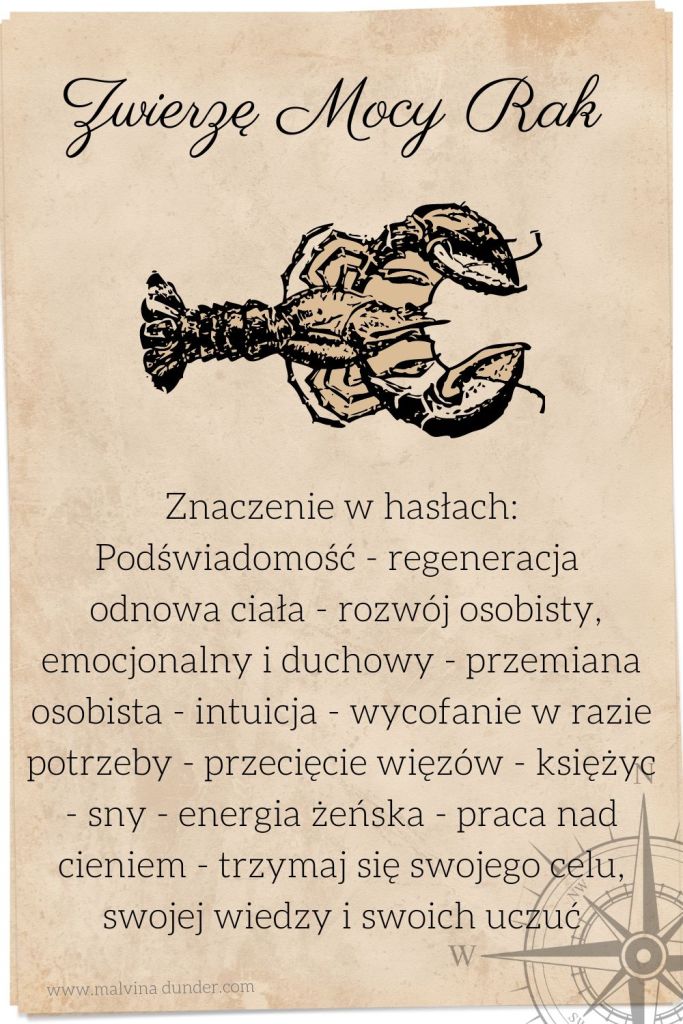 rak Jaskółka Zwierzę Mocy, znaczenie symbolika przesłanie, Malvina Dunder
