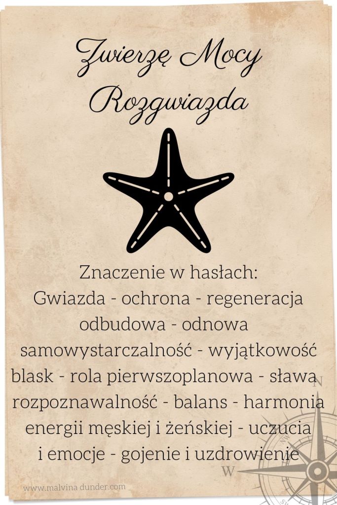 rozgwiazda Zwierzę Mocy, znaczenie symbolika przesłanie, Malvina Dunder