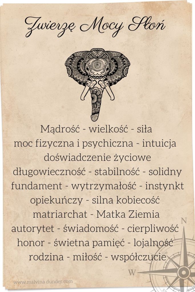 słoń Zwierzę Mocy, Malvina Dunder