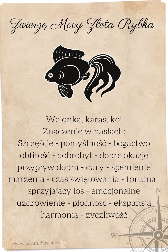 Złota rybka, welonka, karaś, koi Zwierzę Mocy, znaczenie symbolika przesłanie, Malvina Dunder