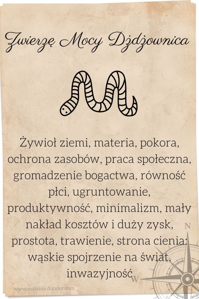dżdżownica Zwierzę Mocy, zwierzęta mocy karty