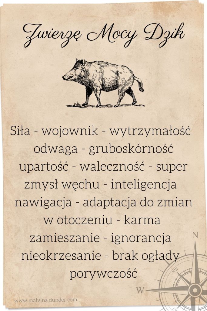 dzik, dzika świnia Zwierzę Mocy, zwierzęta mocy karty