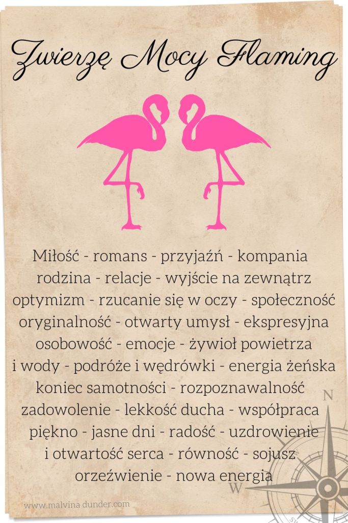 flaming Zwierzę Mocy, zwierzęta mocy karty