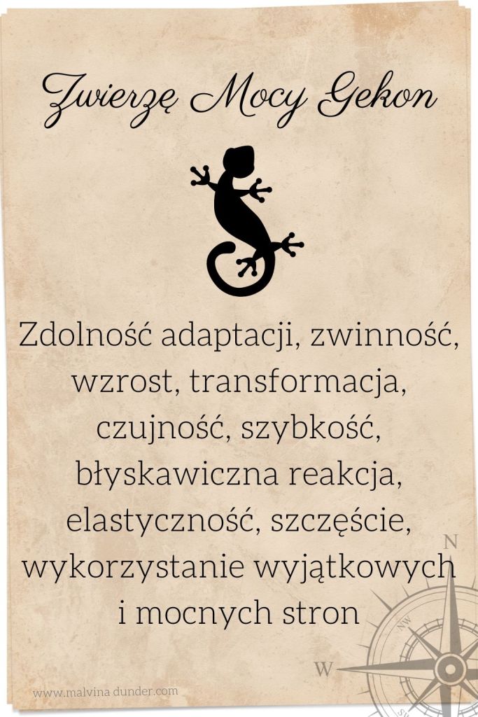 gekon Zwierzę Mocy, zwierzęta mocy karty