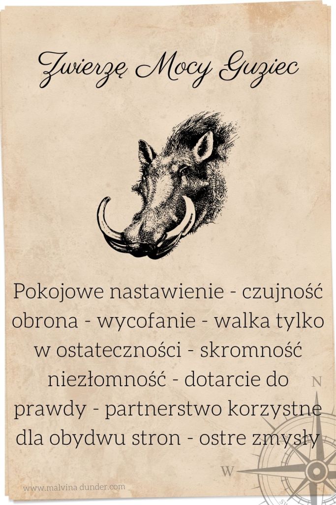Guziec, świnia afrykańska, pumba Zwierzę Mocy, zwierzęta mocy karty