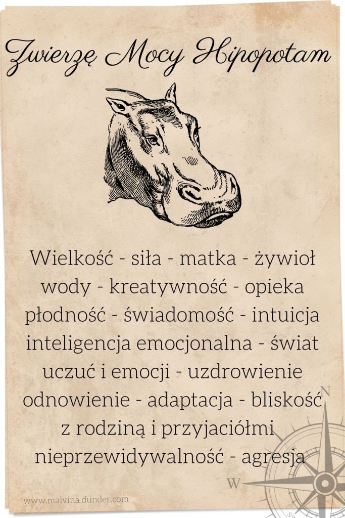 hipopotam Zwierzę Mocy, zwierzęta mocy karty