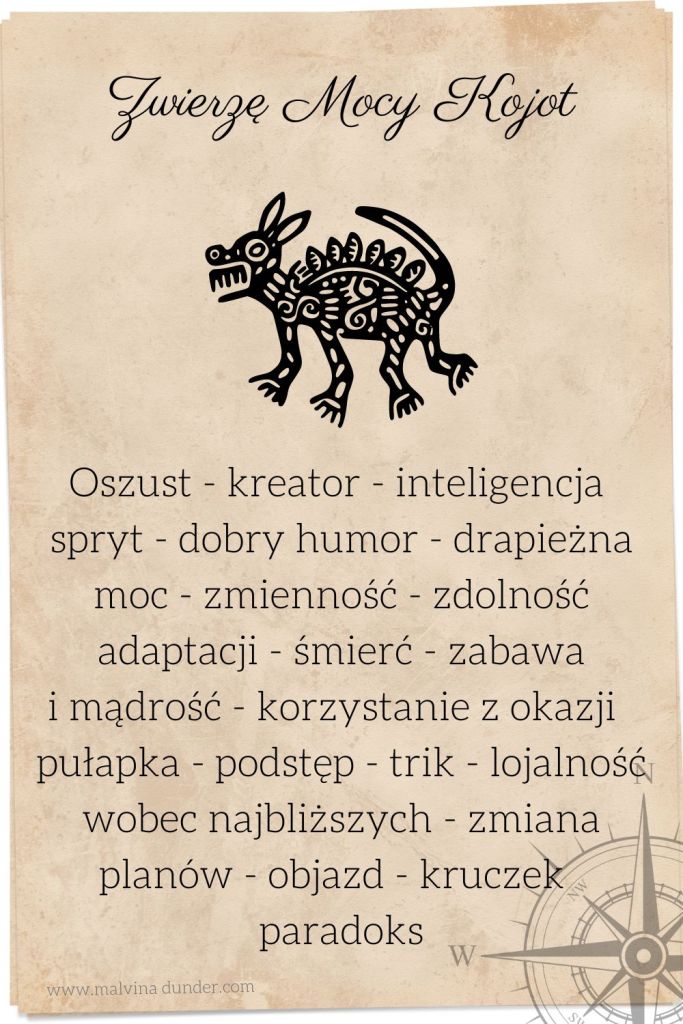 kojot Zwierzę Mocy, zwierzęta mocy karty