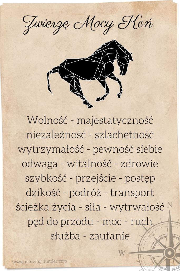 koń Zwierzę Mocy, zwierzęta mocy karty