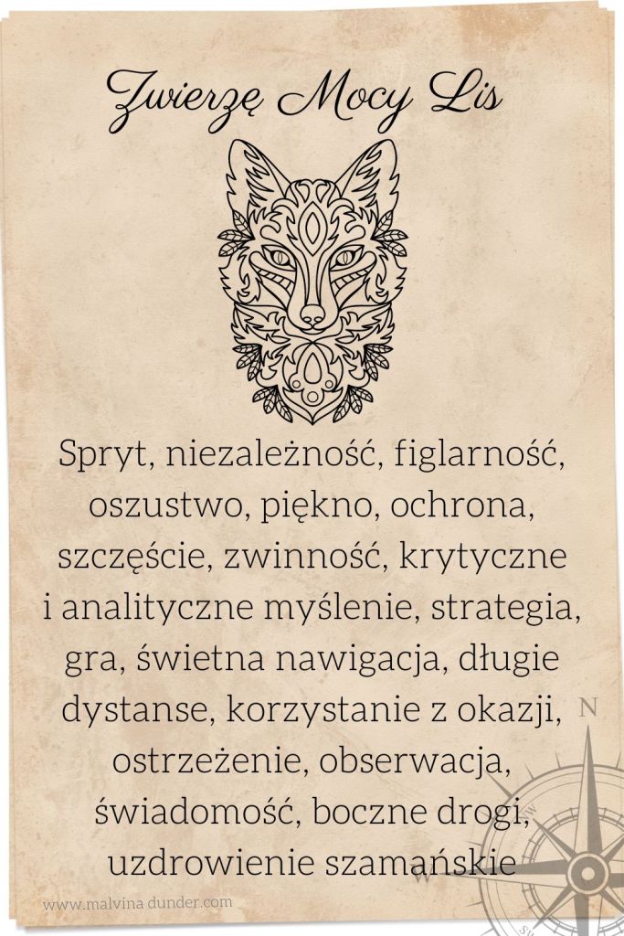 lis zwierzę mocy, karty