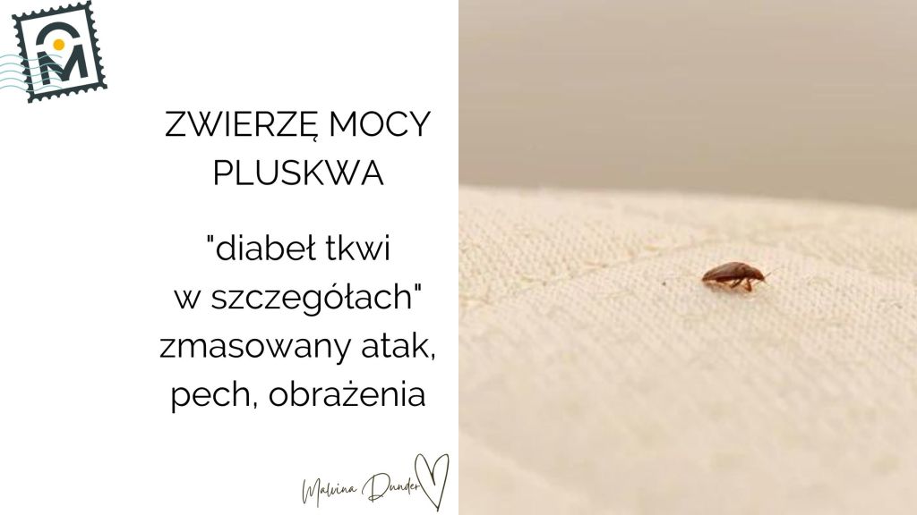 Zwierzę Mocy Pluskwa znaczenie – inwazyjność i ostrzeżenie przed tym, co&nbsp;ukryte