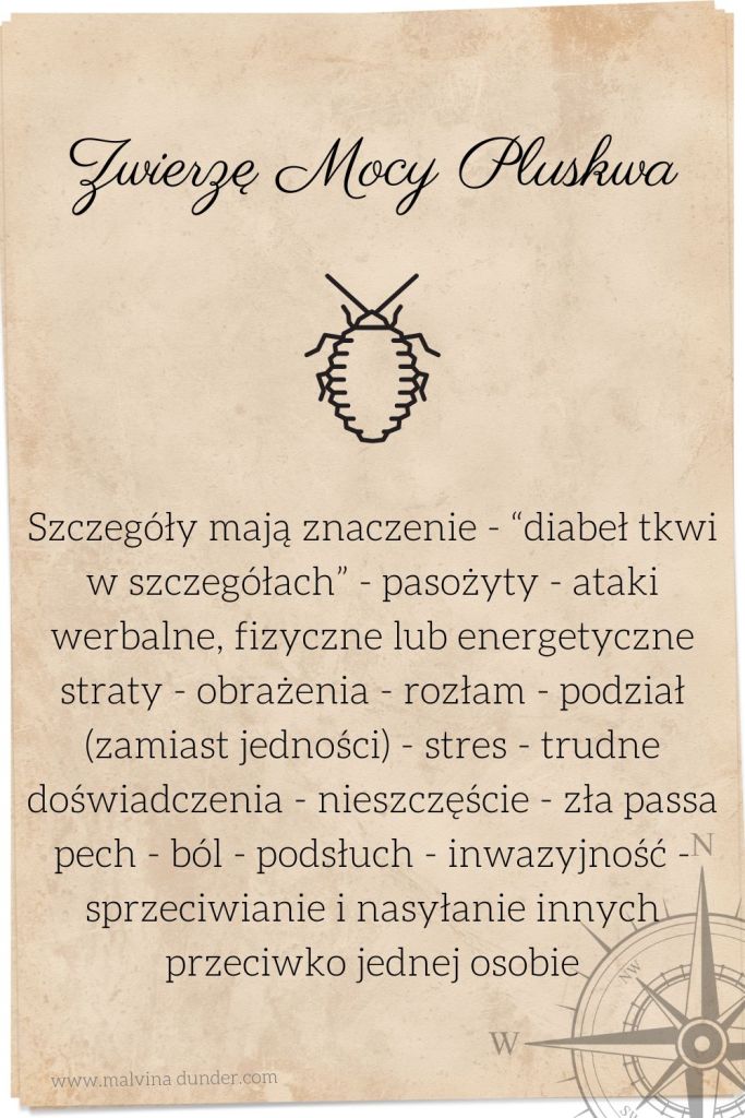 pluskwa Zwierzę Mocy, zwierzęta mocy karty