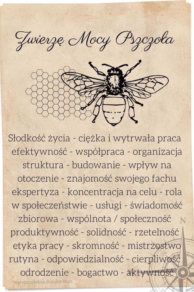 zwierzę mocy pszczoła, karty, znaczenie