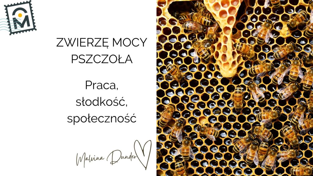 Zwierzę Mocy Pszczoła znaczenie — symbol pracy i słodkości, równowagi życiowej,&nbsp;społeczności