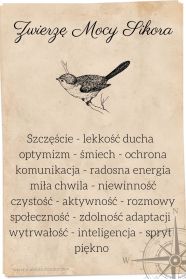 Zwierz Mocy Sikorka Znaczenie Lekko Ducha Rado Chwili Optymizm Zwierz Mocy Sikorka Znaczenie Lekko Ducha Rado Chwili Optymizm