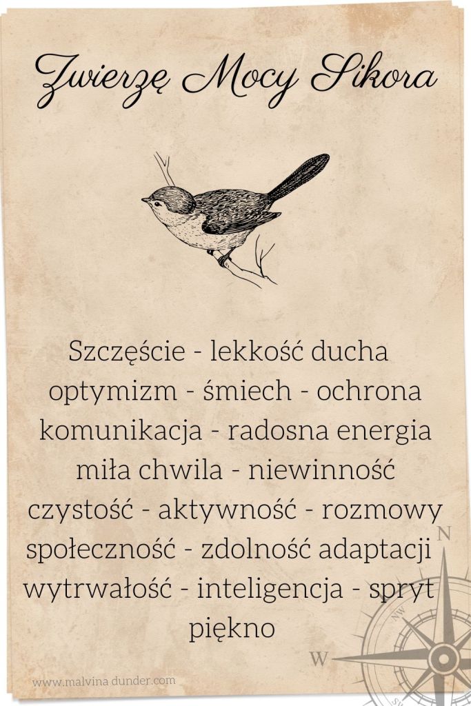 sikora sikorka Zwierzę Mocy, zwierzęta mocy karty