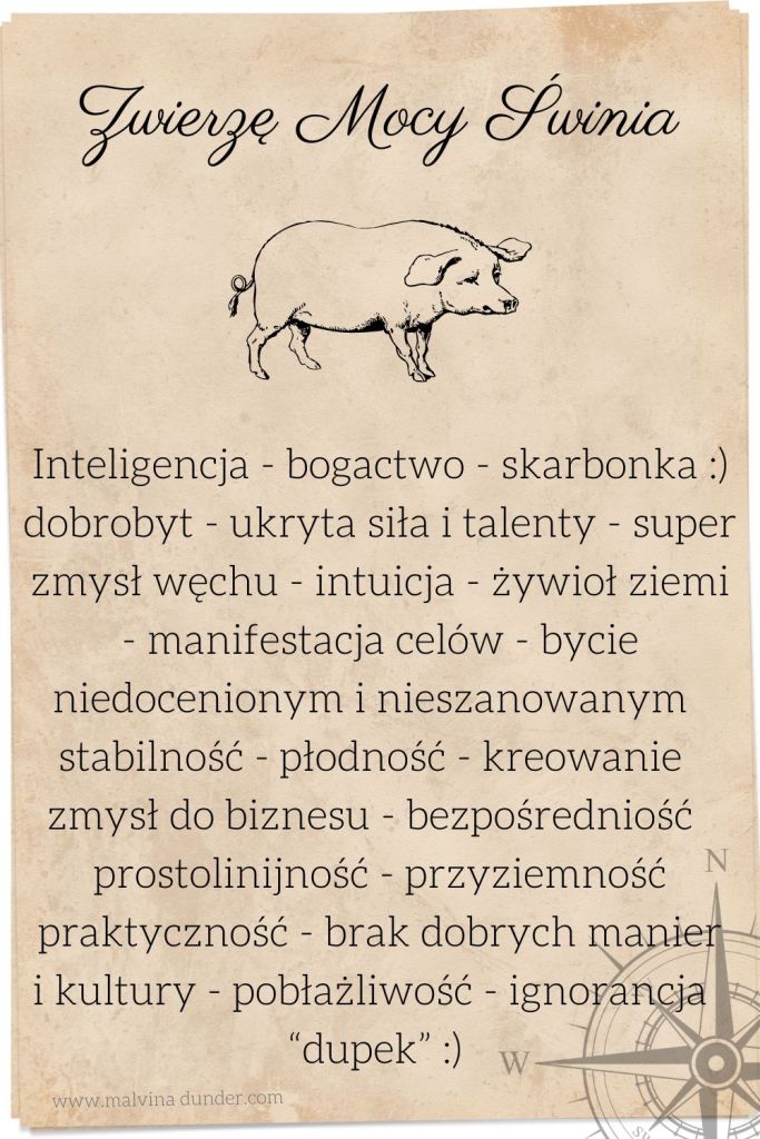 świnia Zwierzę Mocy, zwierzęta mocy karty