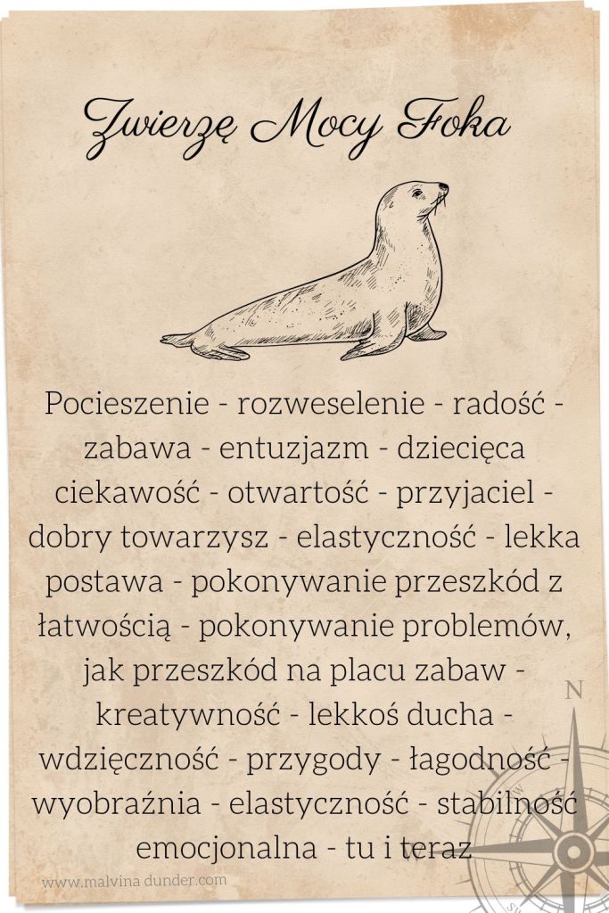 Foka, Uchatka Zwierzę Mocy, Malvina Dunder (2)