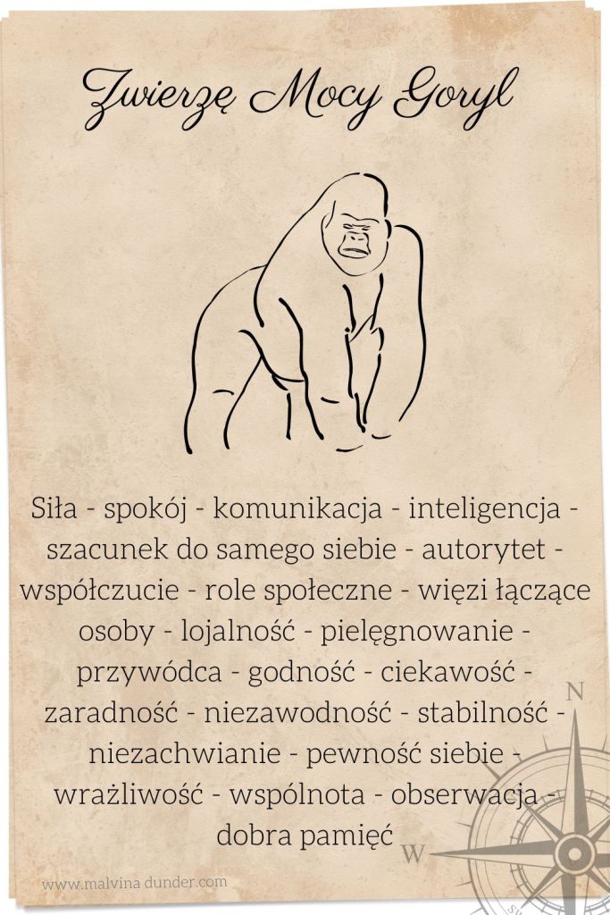Goryl Zwierzę Mocy przesłanie, znaczenie, karty