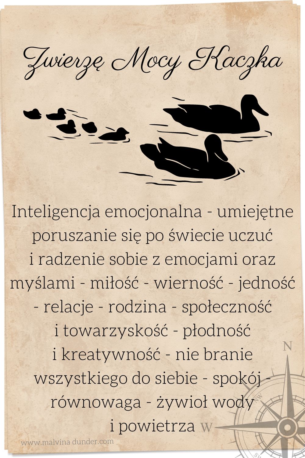 kaczka Zwierzę Mocy znaczenie, przesłanie, symbolika, karty, Malvina Dunder