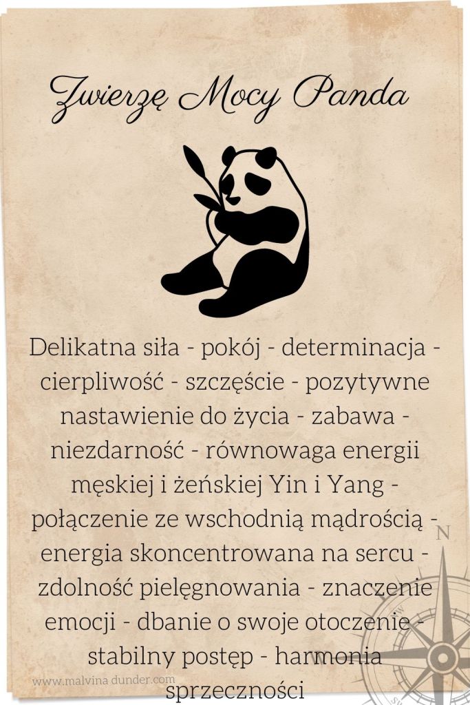 panda Zwierzę Mocy znaczenie, karty