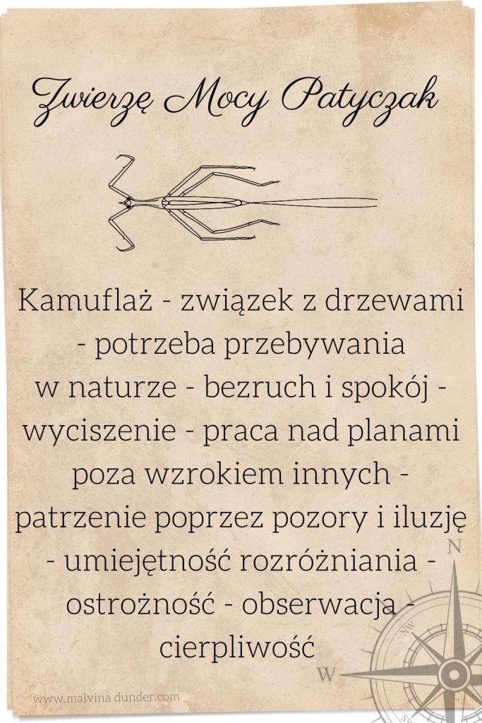 patyczak Zwierzę Mocy znaczenie, Malvina Dunder