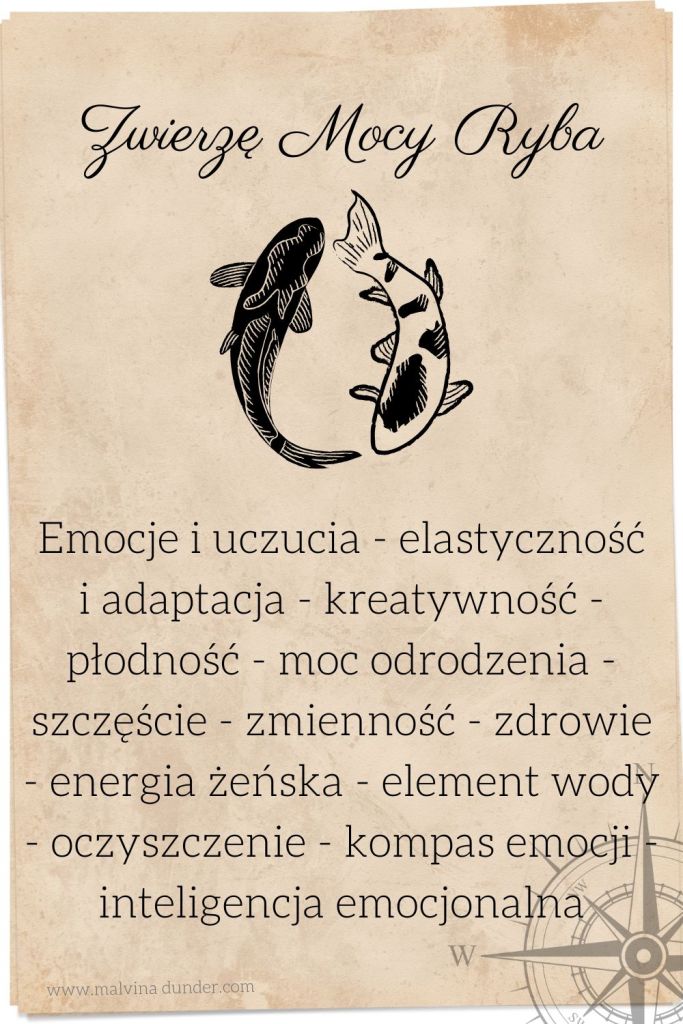 Ryba Zwierzę Mocy karty znaczenie symbolika przesłanie