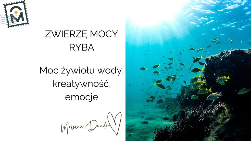 Zwierzę Mocy Ryba – znaczenie, symbol emocji, intuicji i duchowego&nbsp;przepływu