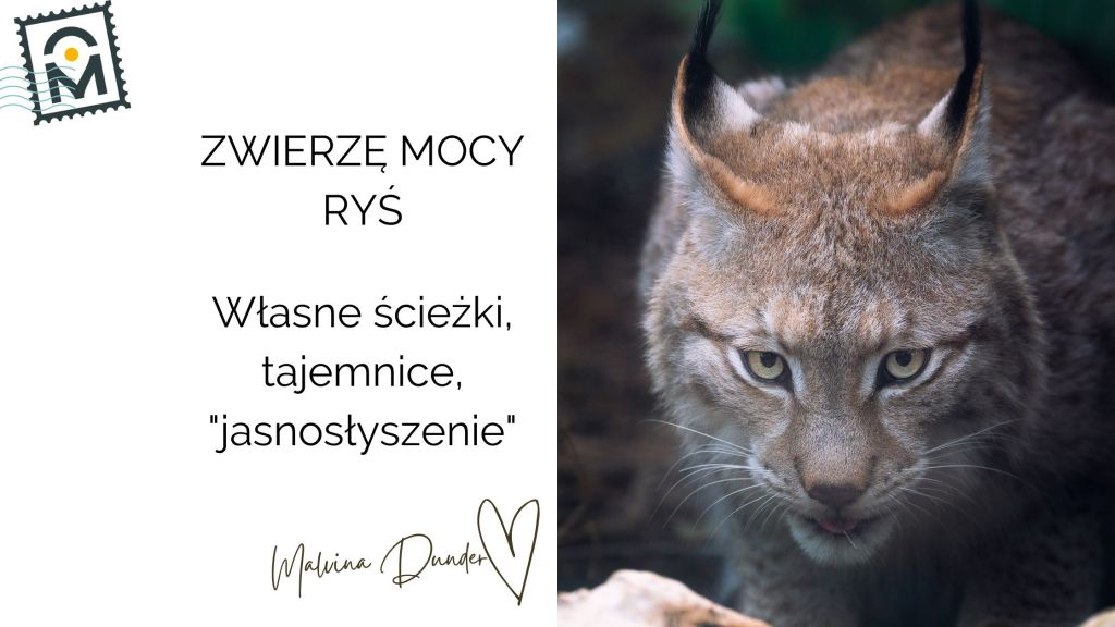 Zwierzę Mocy Ryś znaczenie – przewodnik po tajemnicach, niezależności, cichej pewności&nbsp;siebie