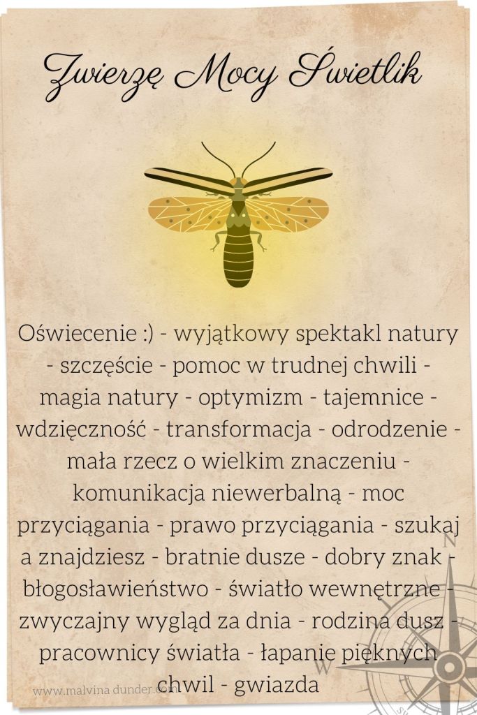 świetlik, świętojański robaczek Zwierzę Mocy, Malvina Dunder