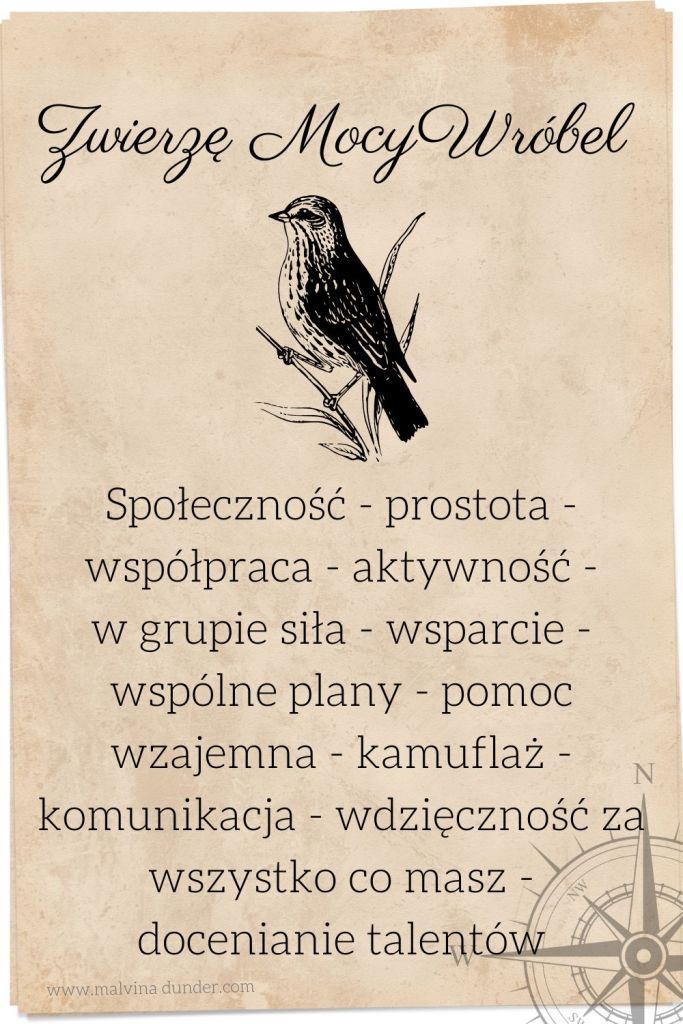 wróbel Zwierzę Mocy znaczenie karty