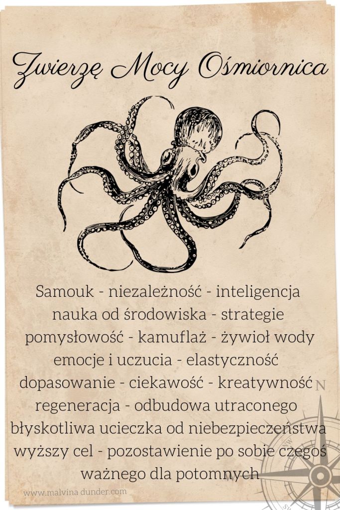 Zwierzę Mocy Ośmiornica znaczenie, przesłanie, symbol, karty