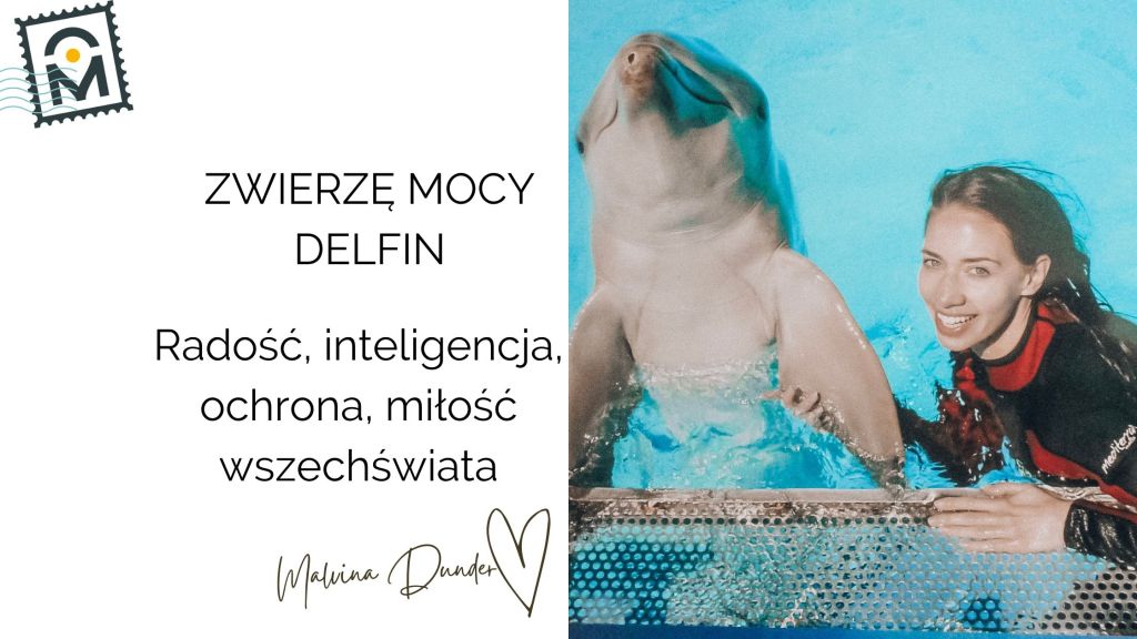 Zwierzę Mocy Delfin znaczenie – przewodnik bezwarunkowej miłości, radości i&nbsp;ochrony