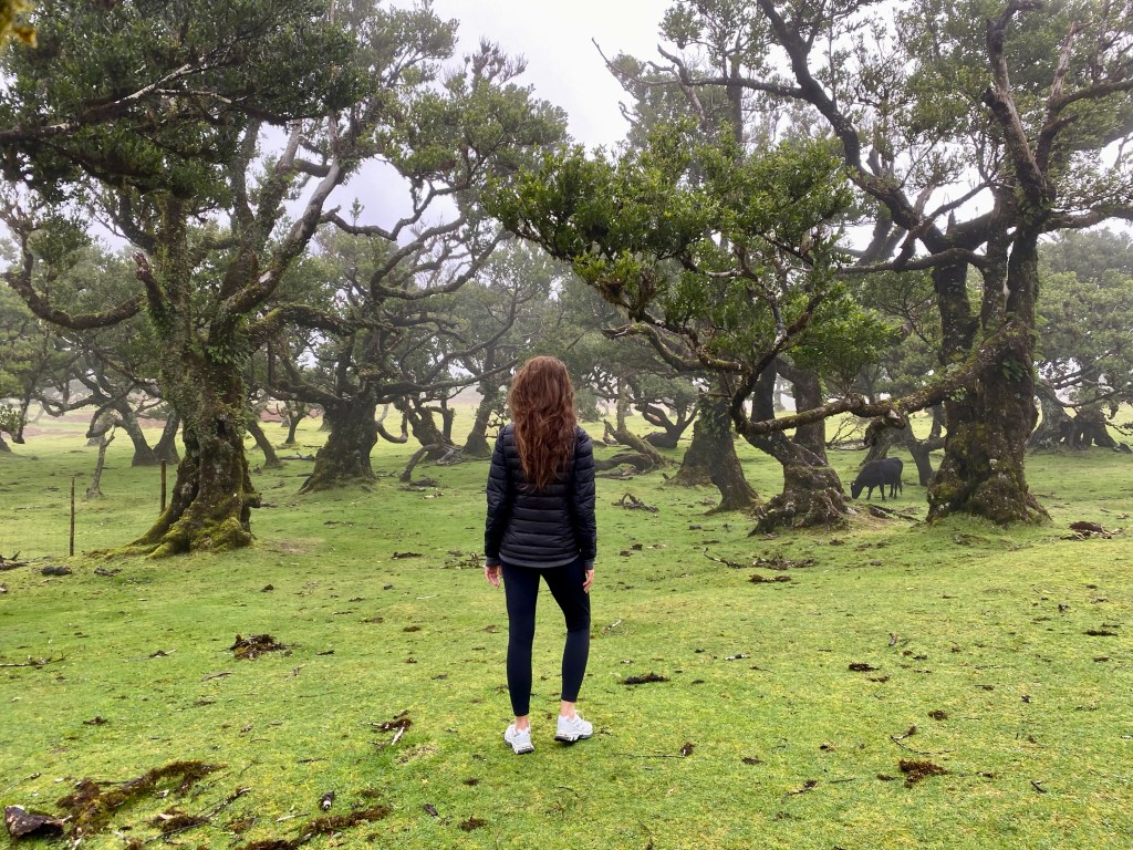 wyspa Madera, podróże, blog podróżniczy, Malvina Dunder