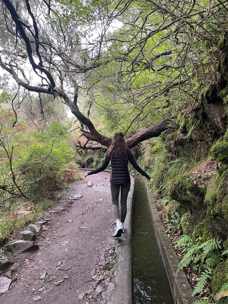 wyspa Madera, podróże, blog podróżniczy, Malvina Dunder