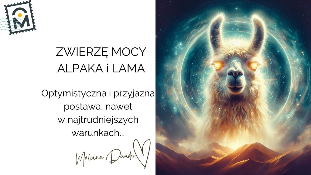 Zwierzę Mocy Lama i Alpaka znaczenie – towarzyskość, odporność i pozytywna&nbsp;energia