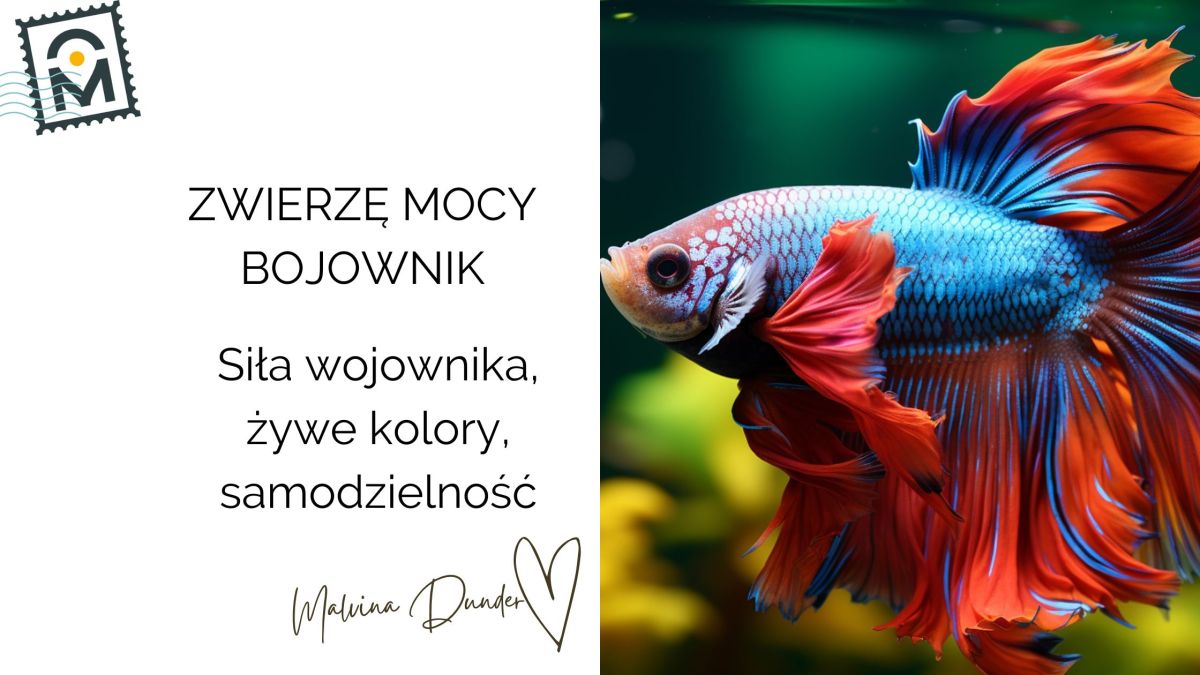 Zwierzę Mocy Bojownik znaczenie – siła barwnego wojownika,&nbsp;niezależność