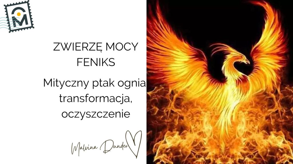 Zwierzę Mocy Feniks – znaczenie, symbolika, mityczny ptak ognia i przewodnik transformacji. Taniec&nbsp;odrodzenia