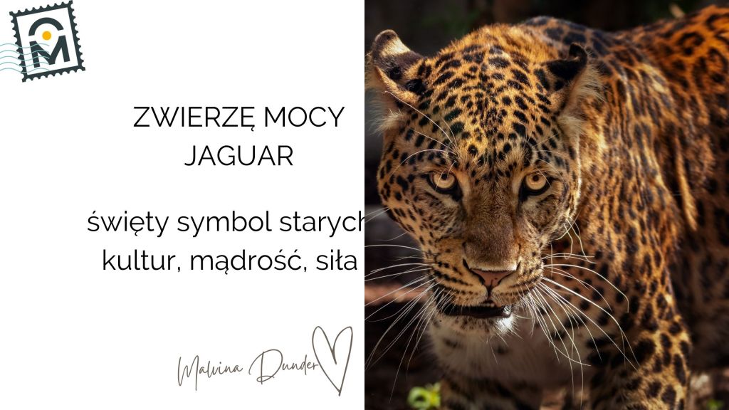 Zwierzę Mocy Jaguar znaczenie – dyskretna moc, inicjacja i przesłania&nbsp;przodków
