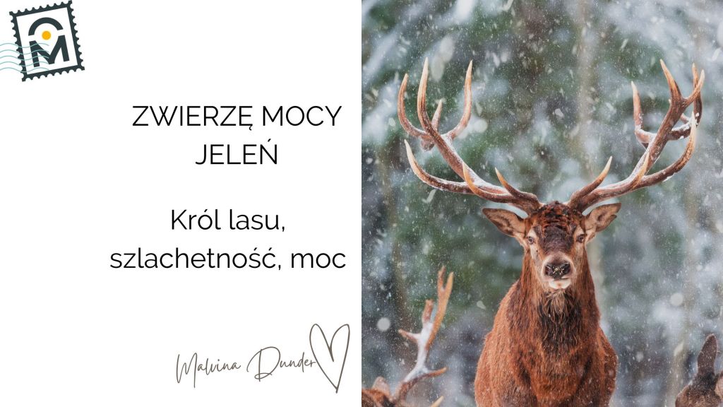 JELEŃ Zwierzę Mocy, znaczenie, symbol, przesłanie, właściwości
